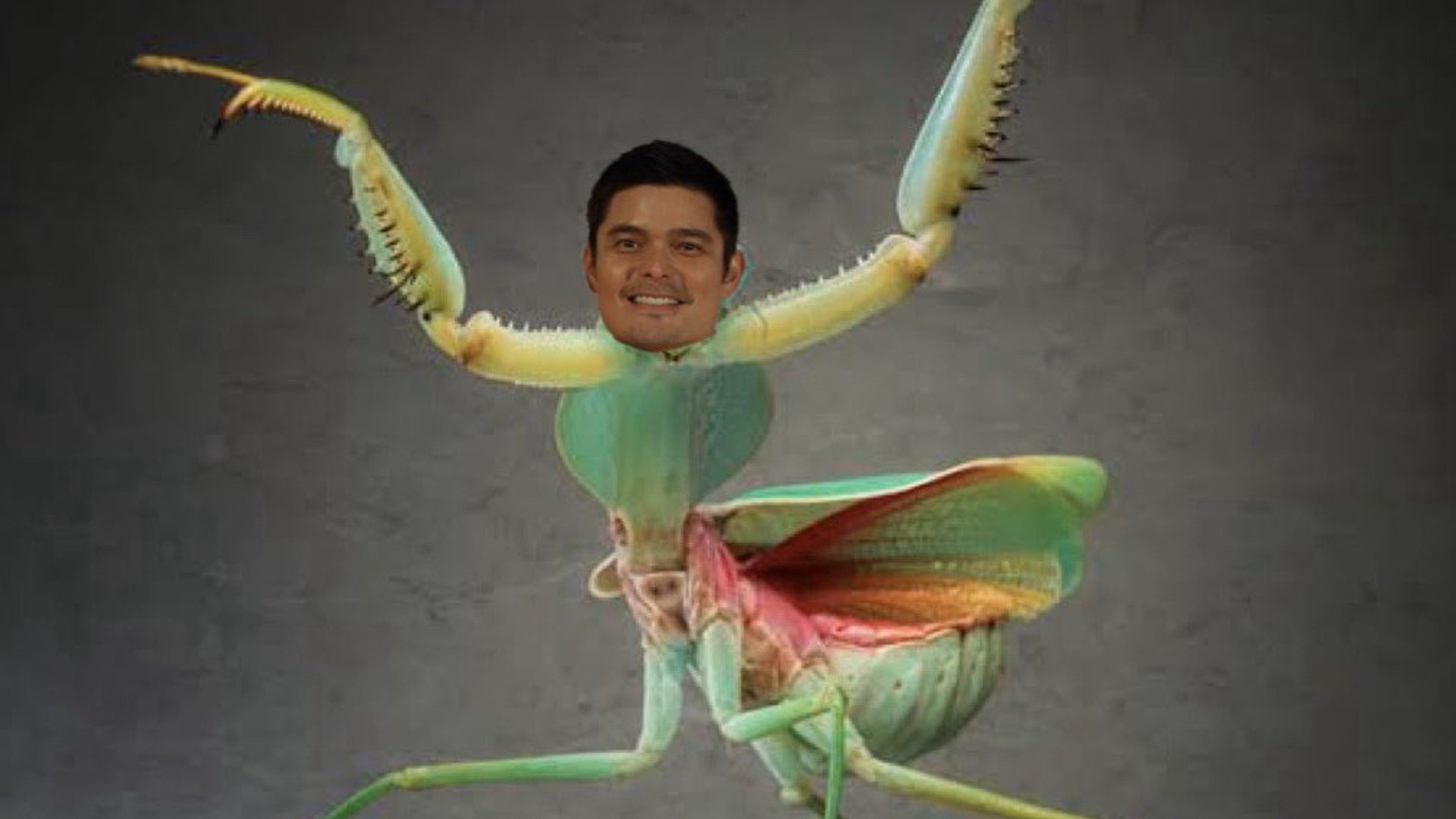 UmbraaalVT banner