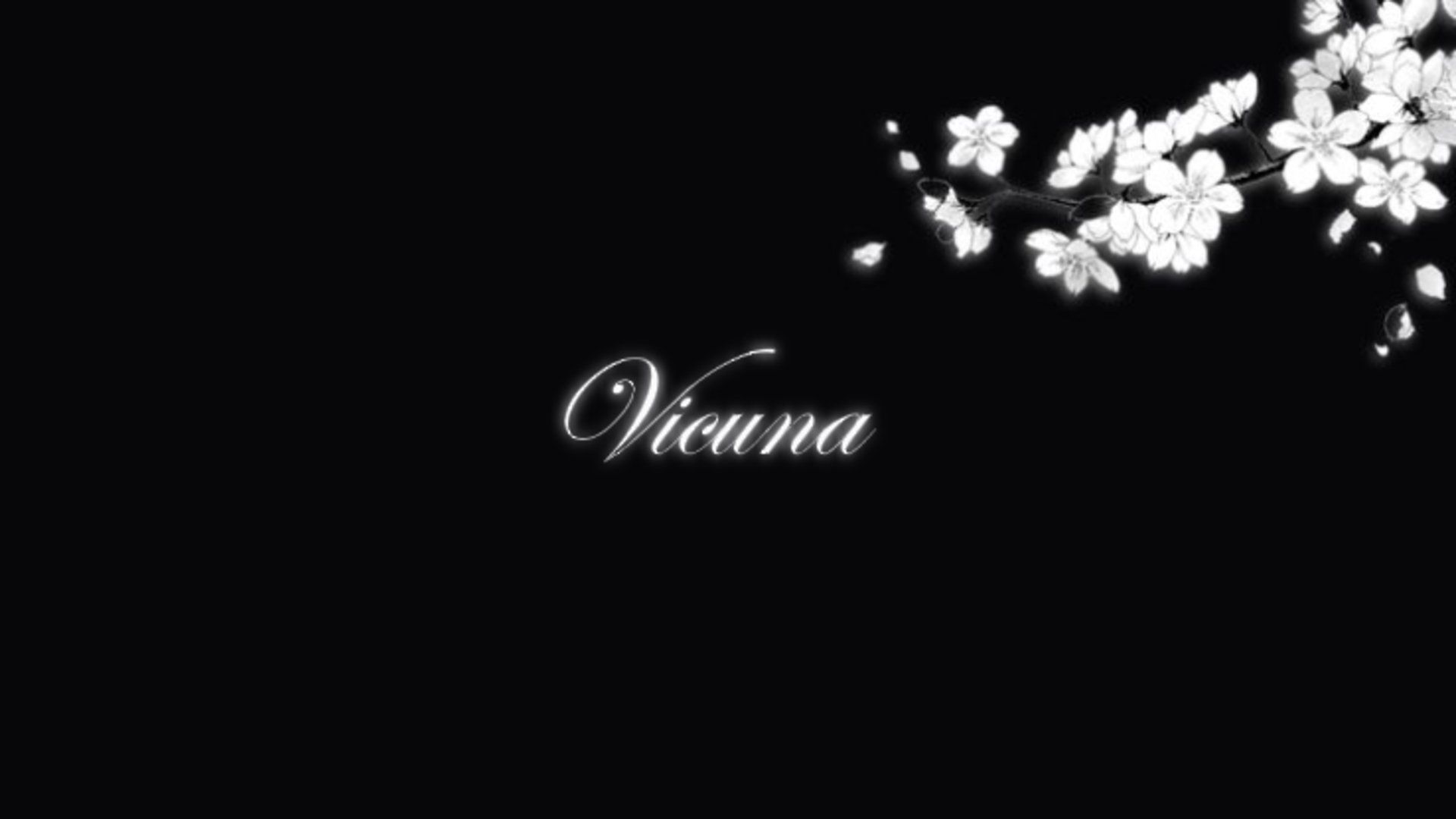 V1cuna banner