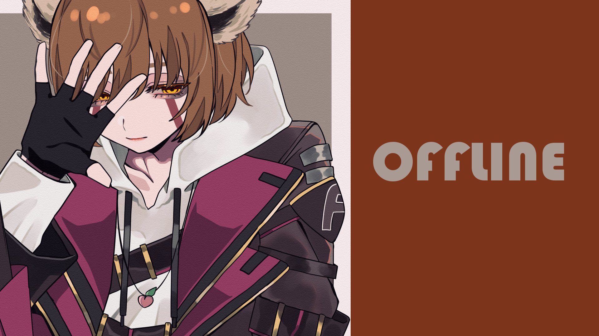 ValillaSenpai banner