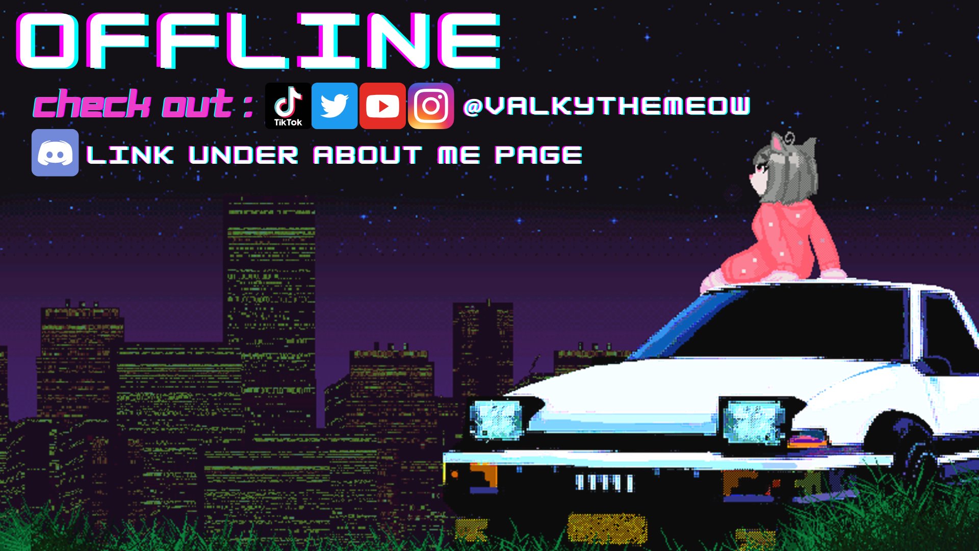 ValkyTheMeow banner