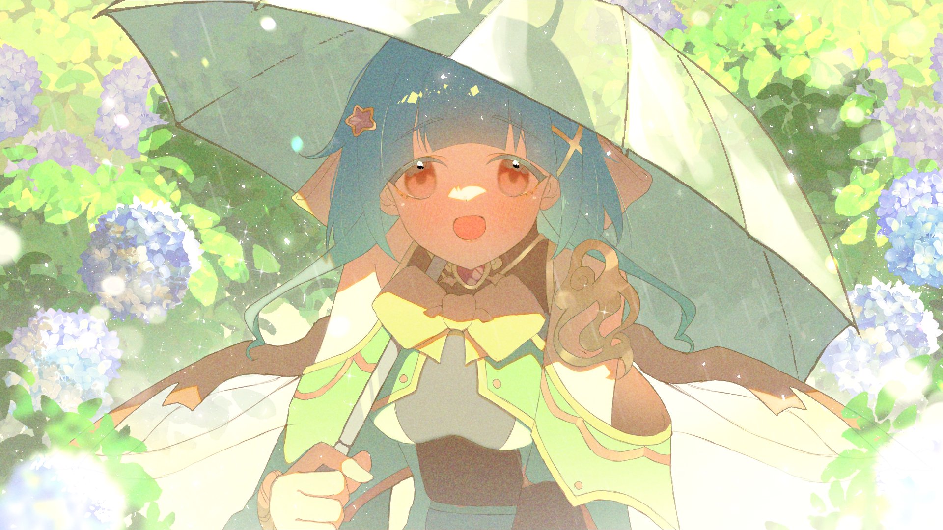 Veenariin banner