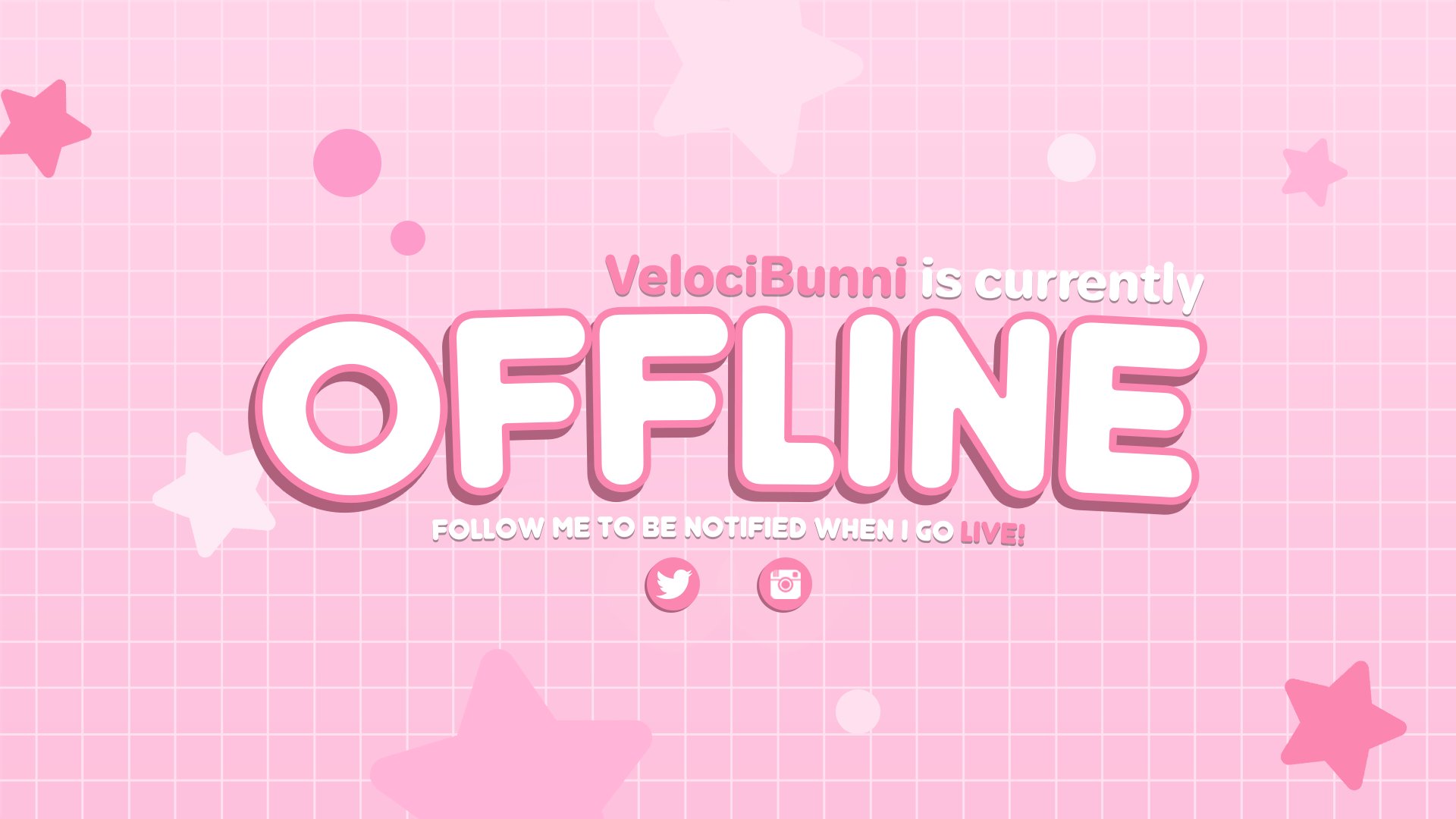 velocibunni banner