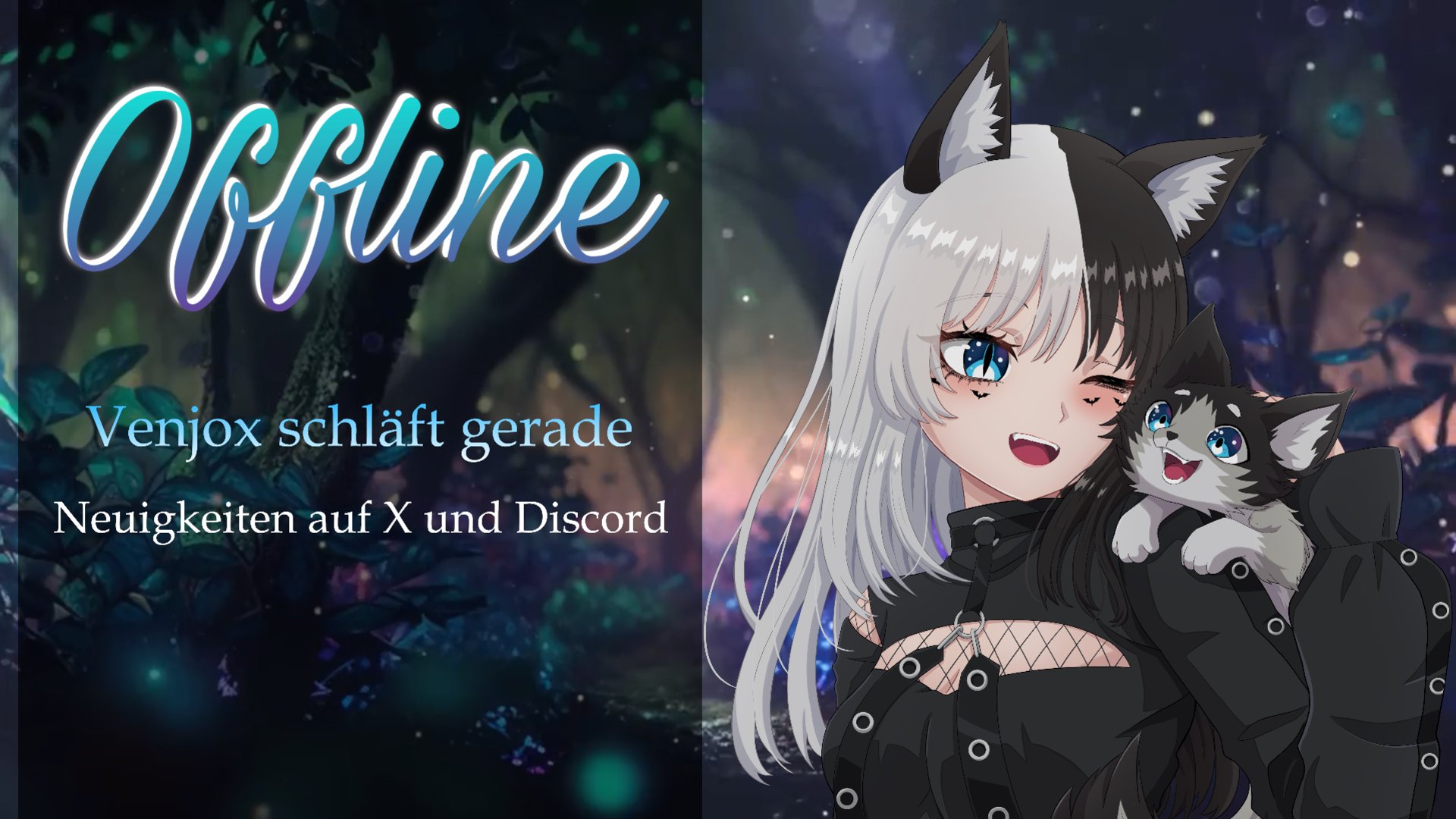 Venjox banner
