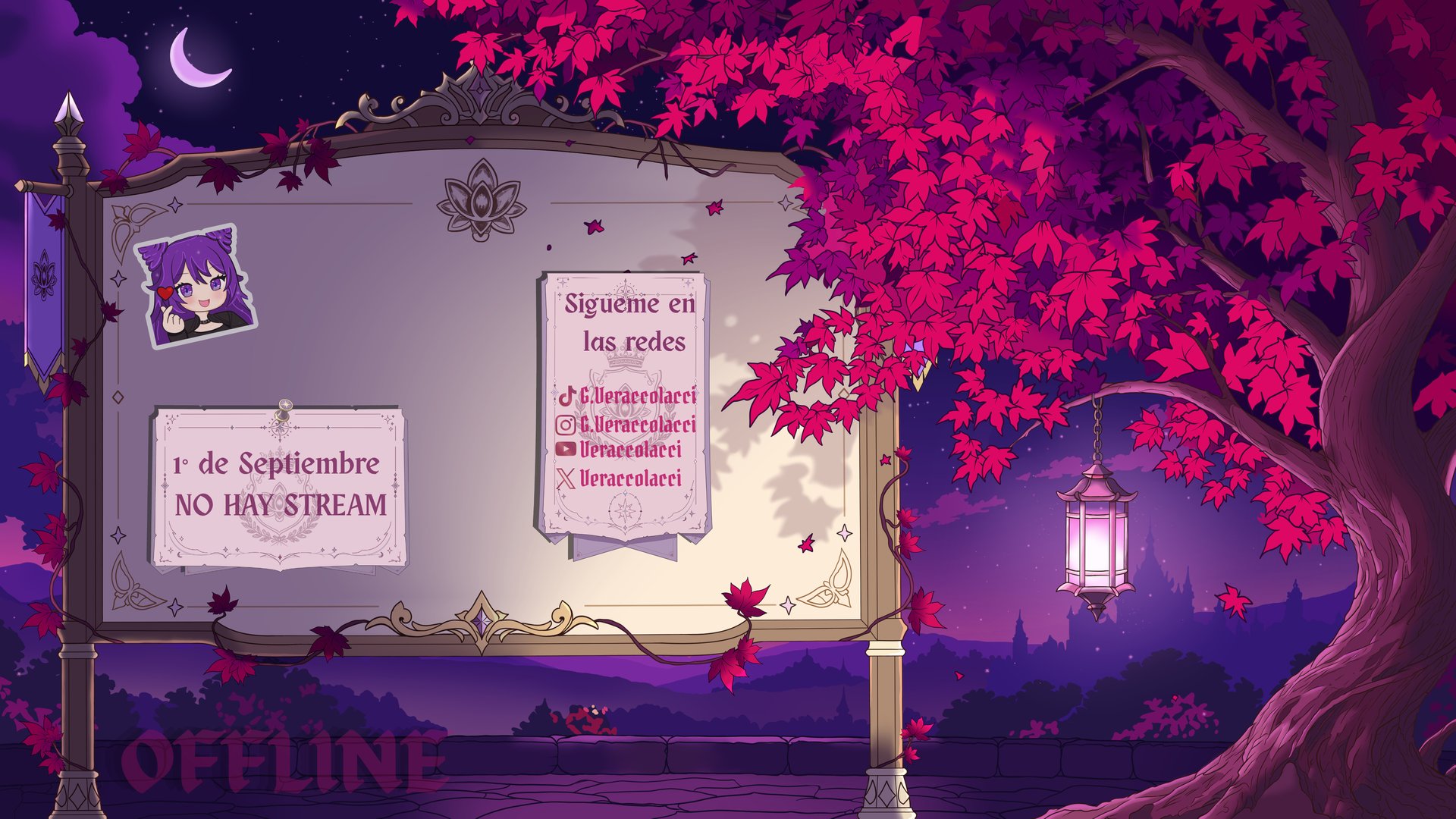Veraccolacci banner