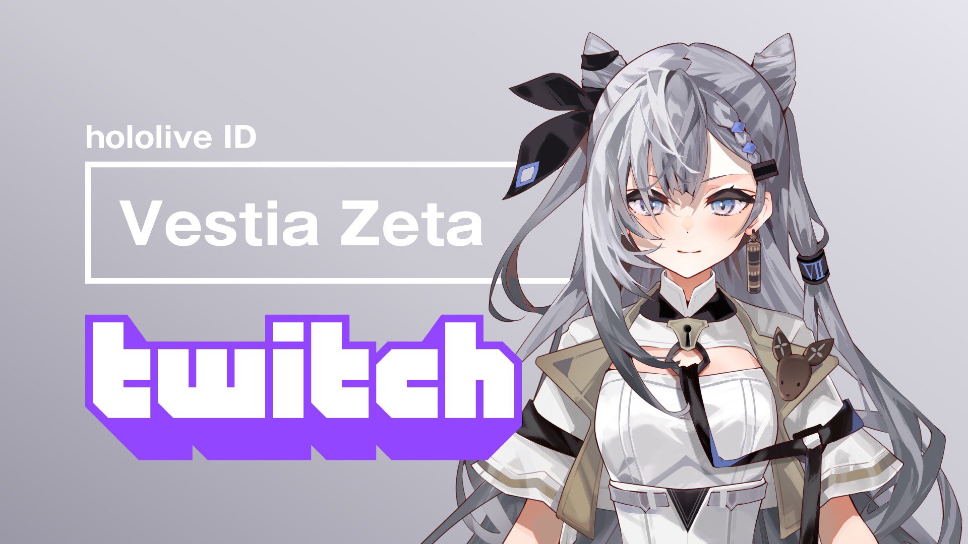 Vestia Zeta banner