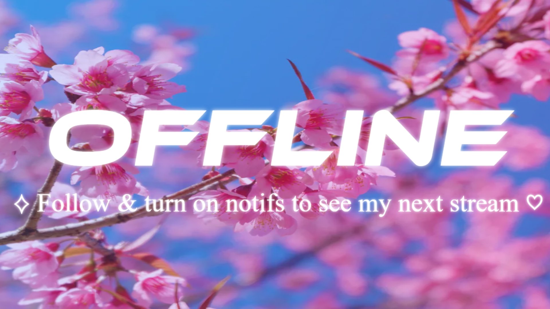 vibrsnt banner
