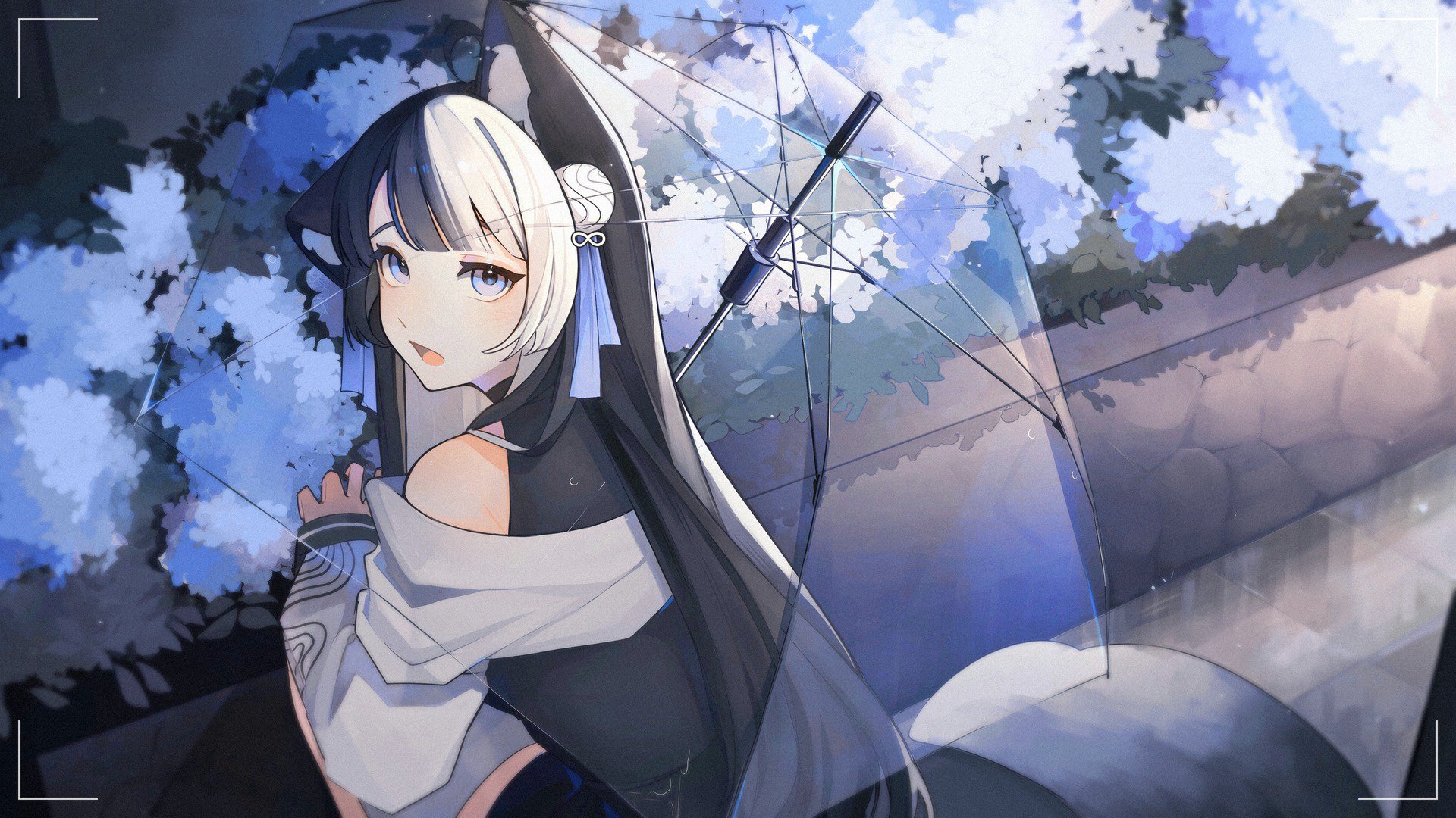 Viola banner