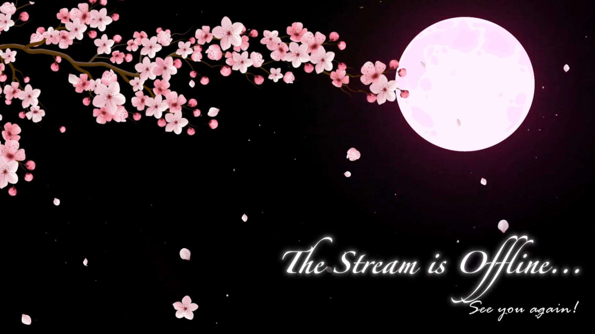 VioletBloomz banner