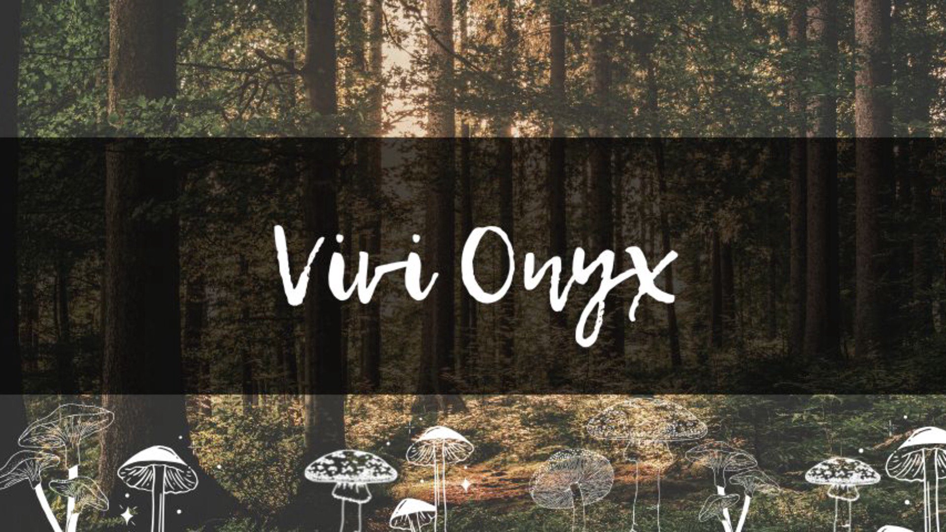 ViviOnyx banner