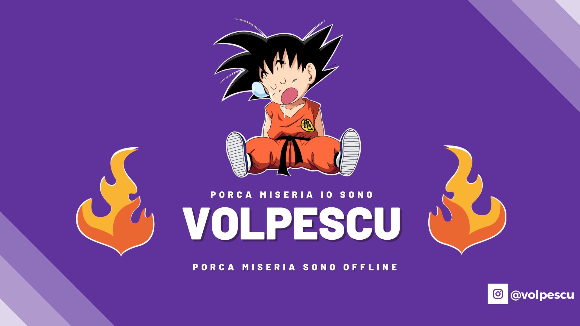 Volpescu banner