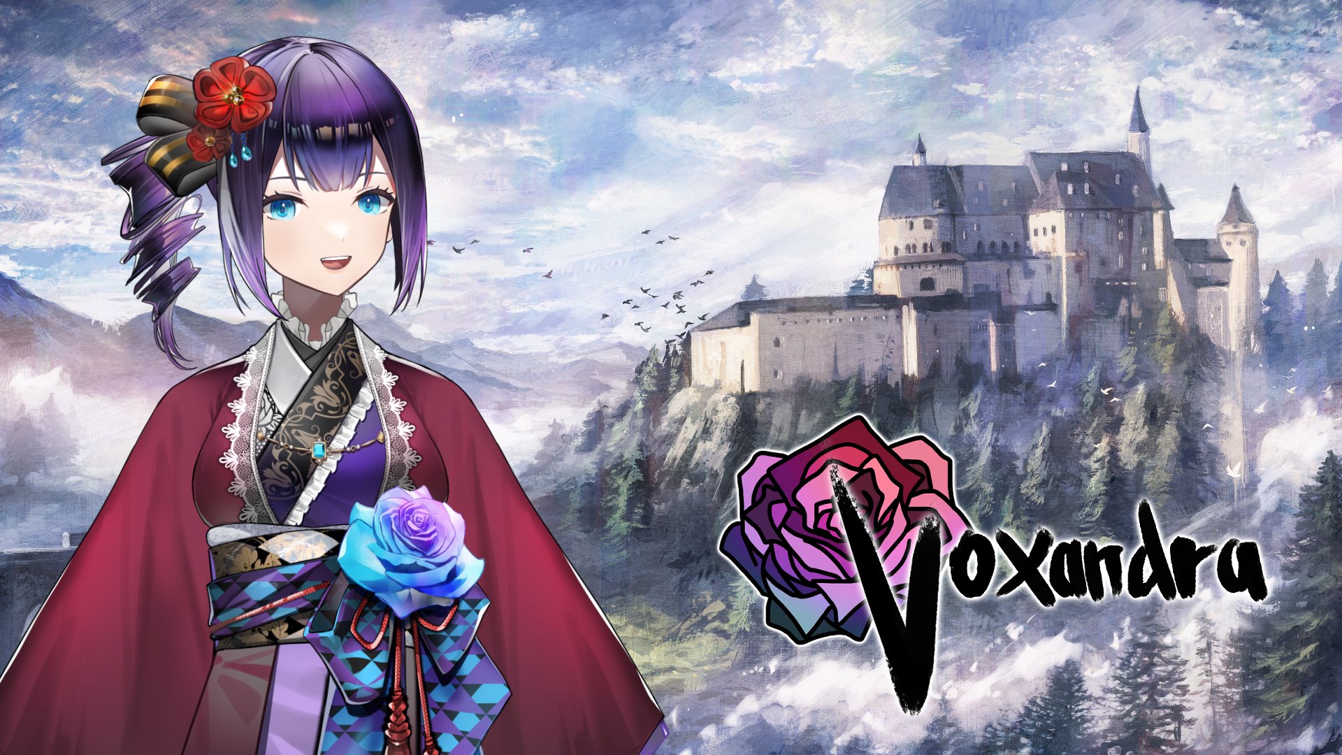 Voxandra banner