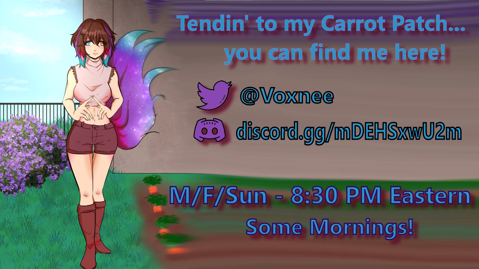 Voxnee banner
