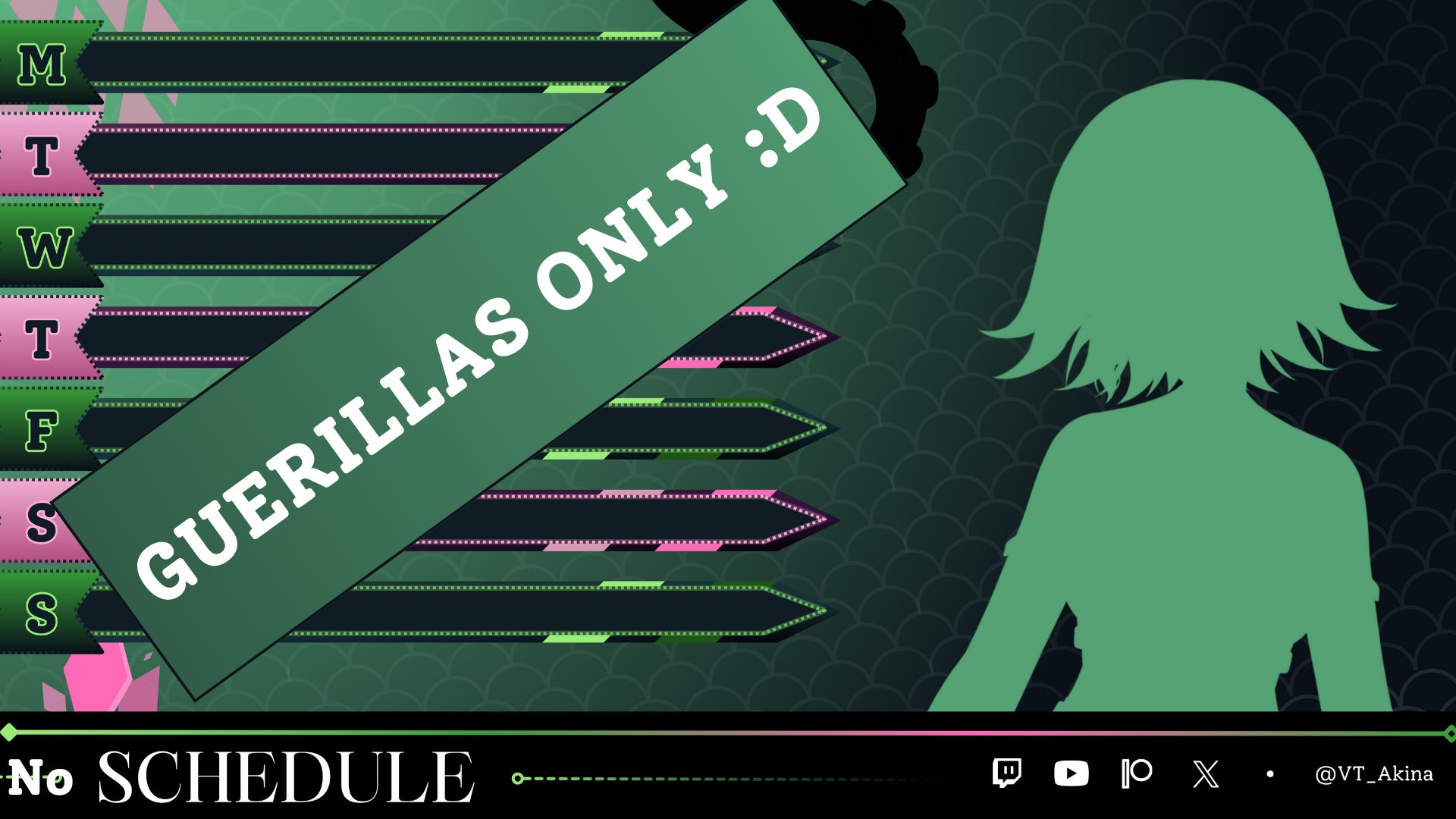 VT_Akina banner