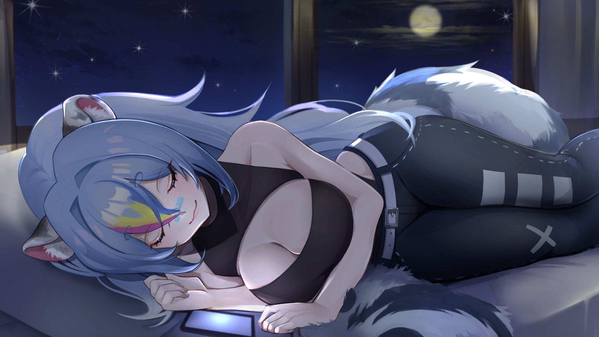 VTPanako banner