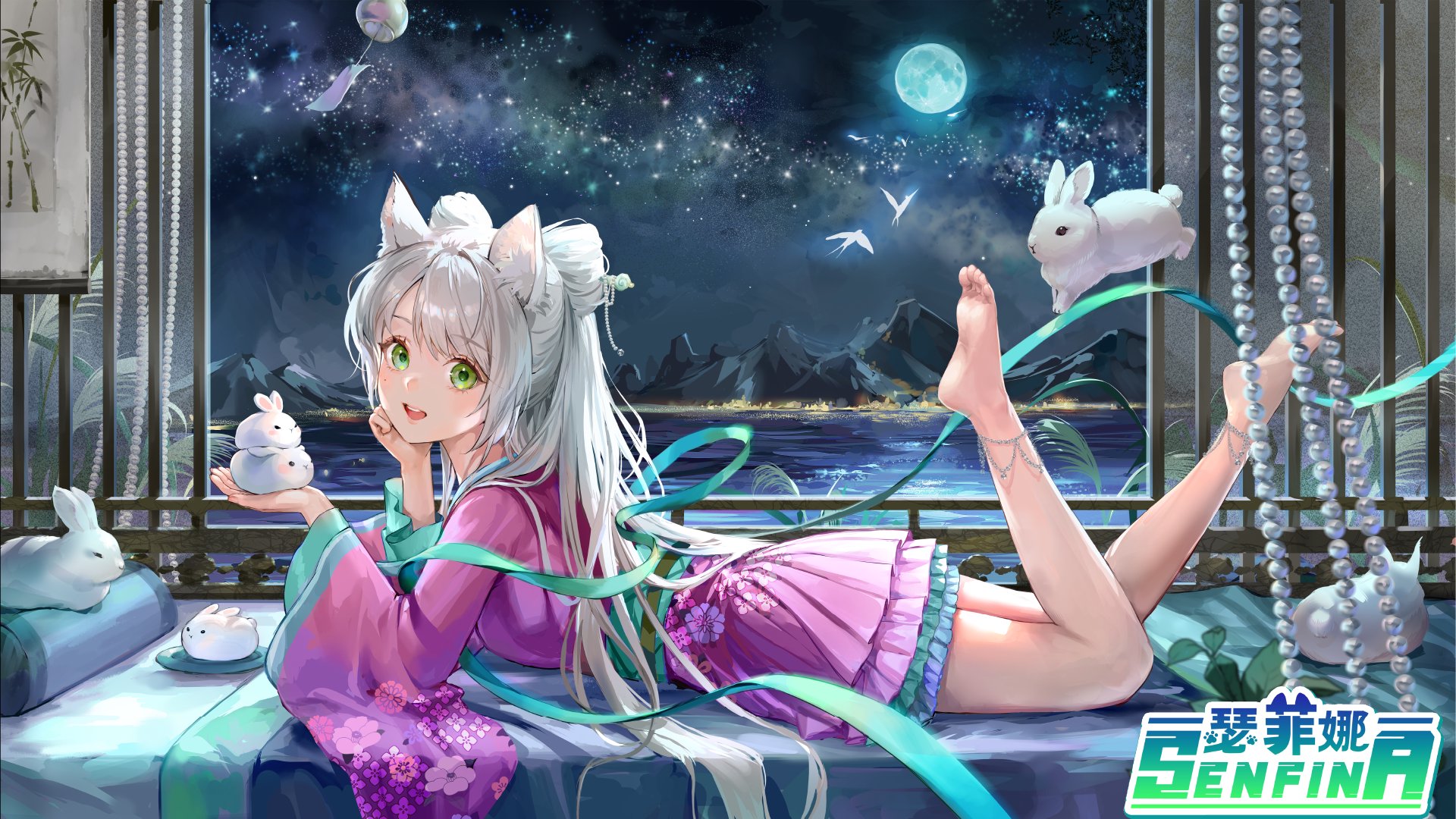 Senfina banner