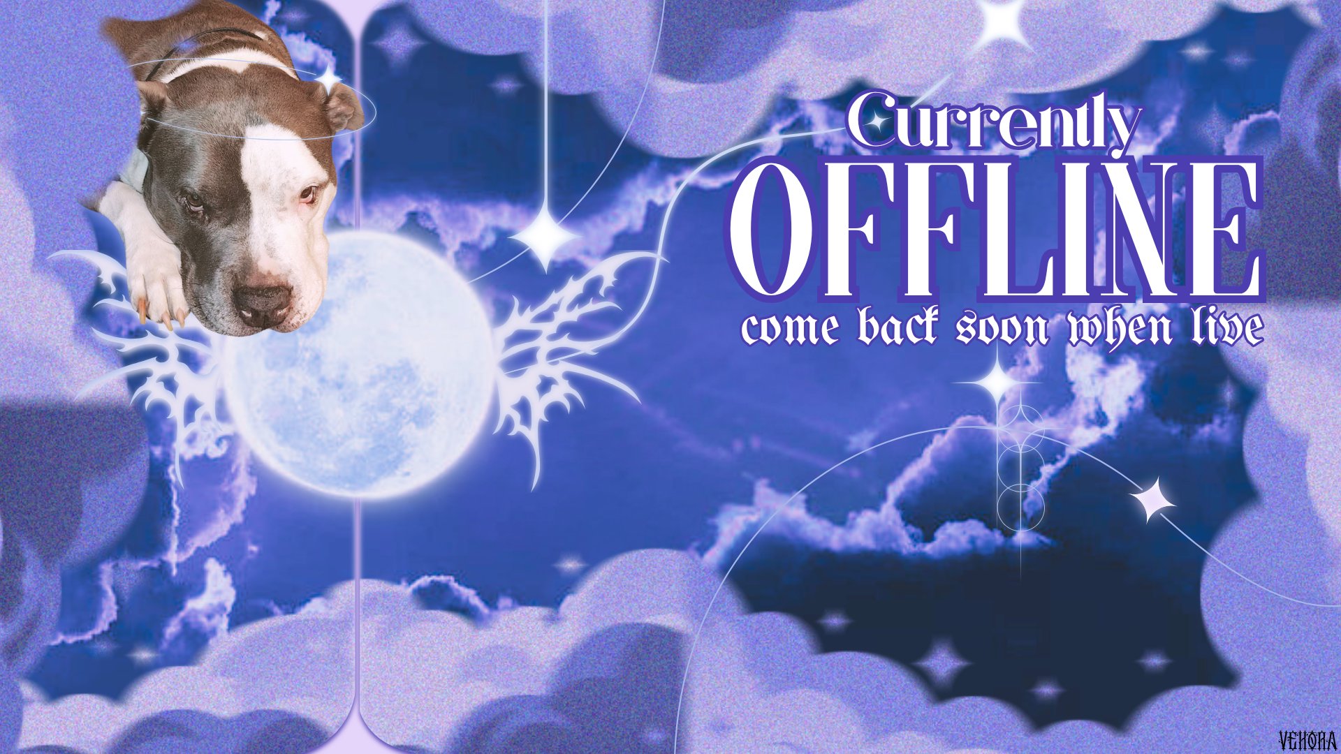 vtvrecall banner