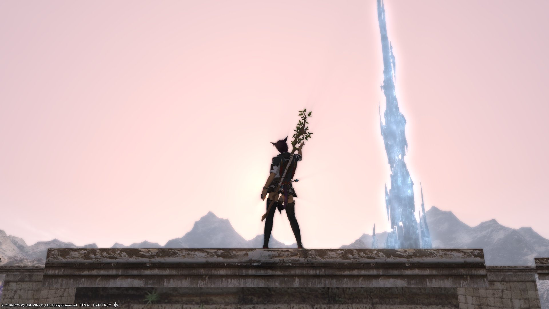 Wallabri banner