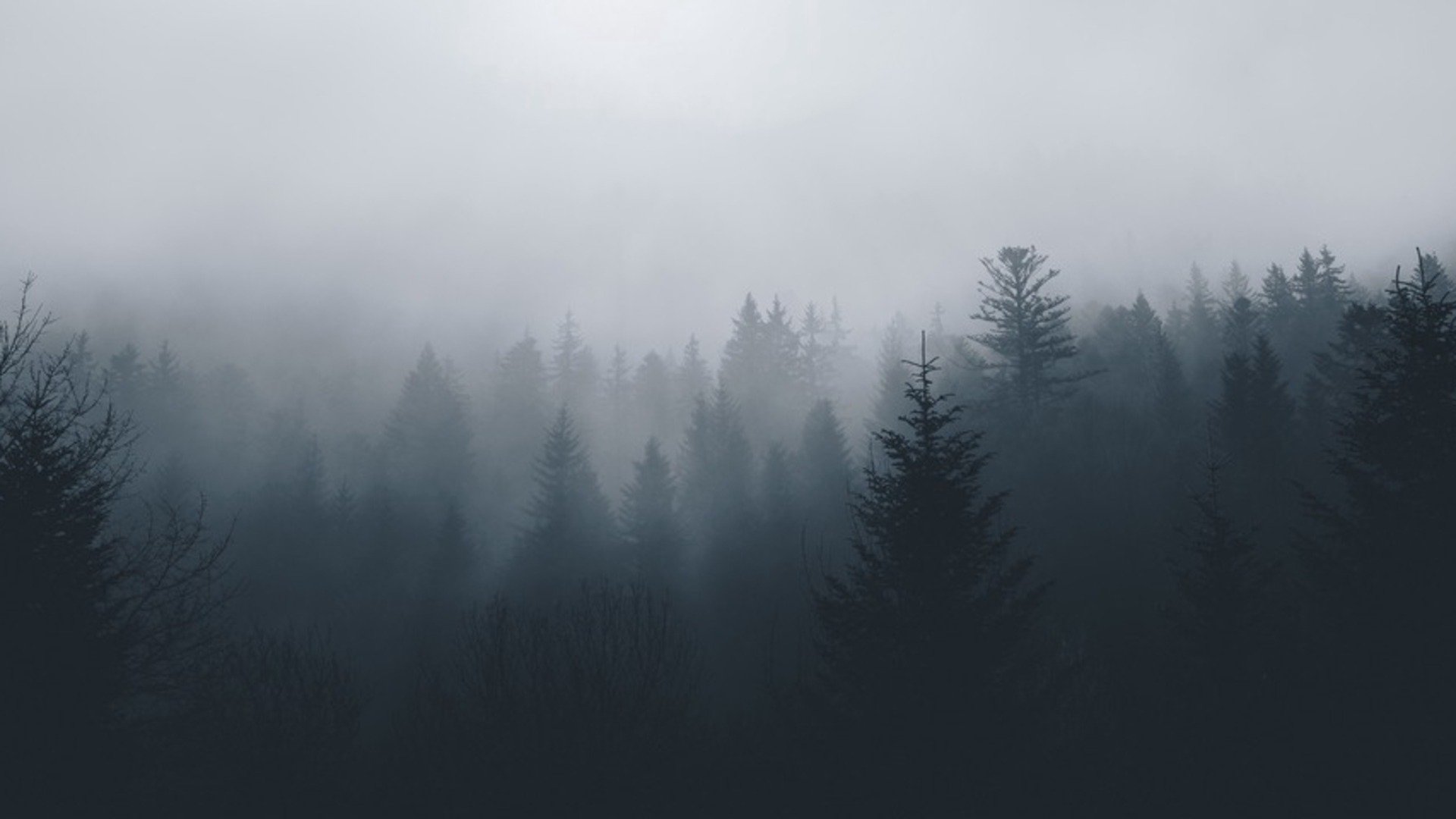 WappoWendigo banner
