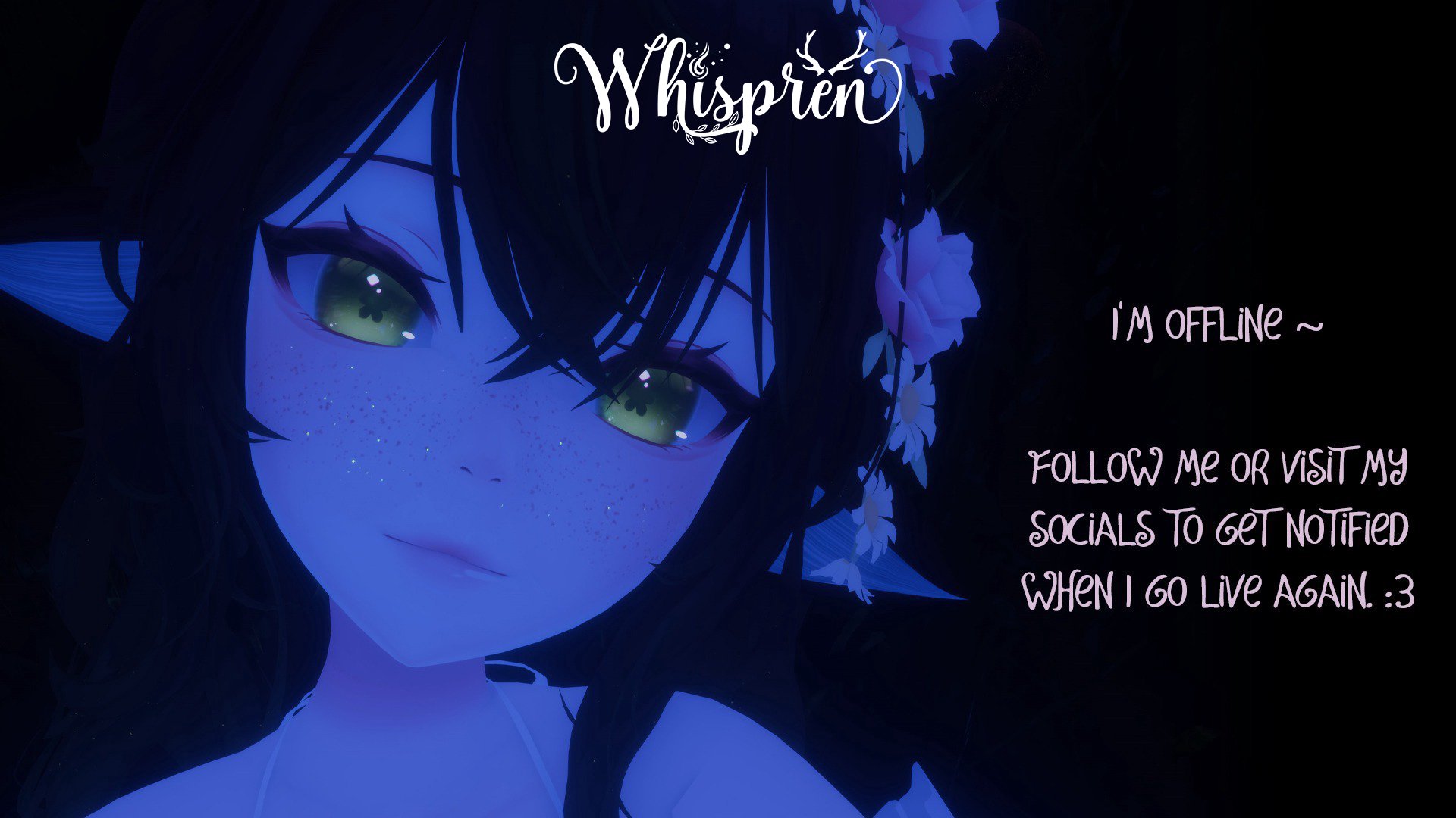 Whispren banner