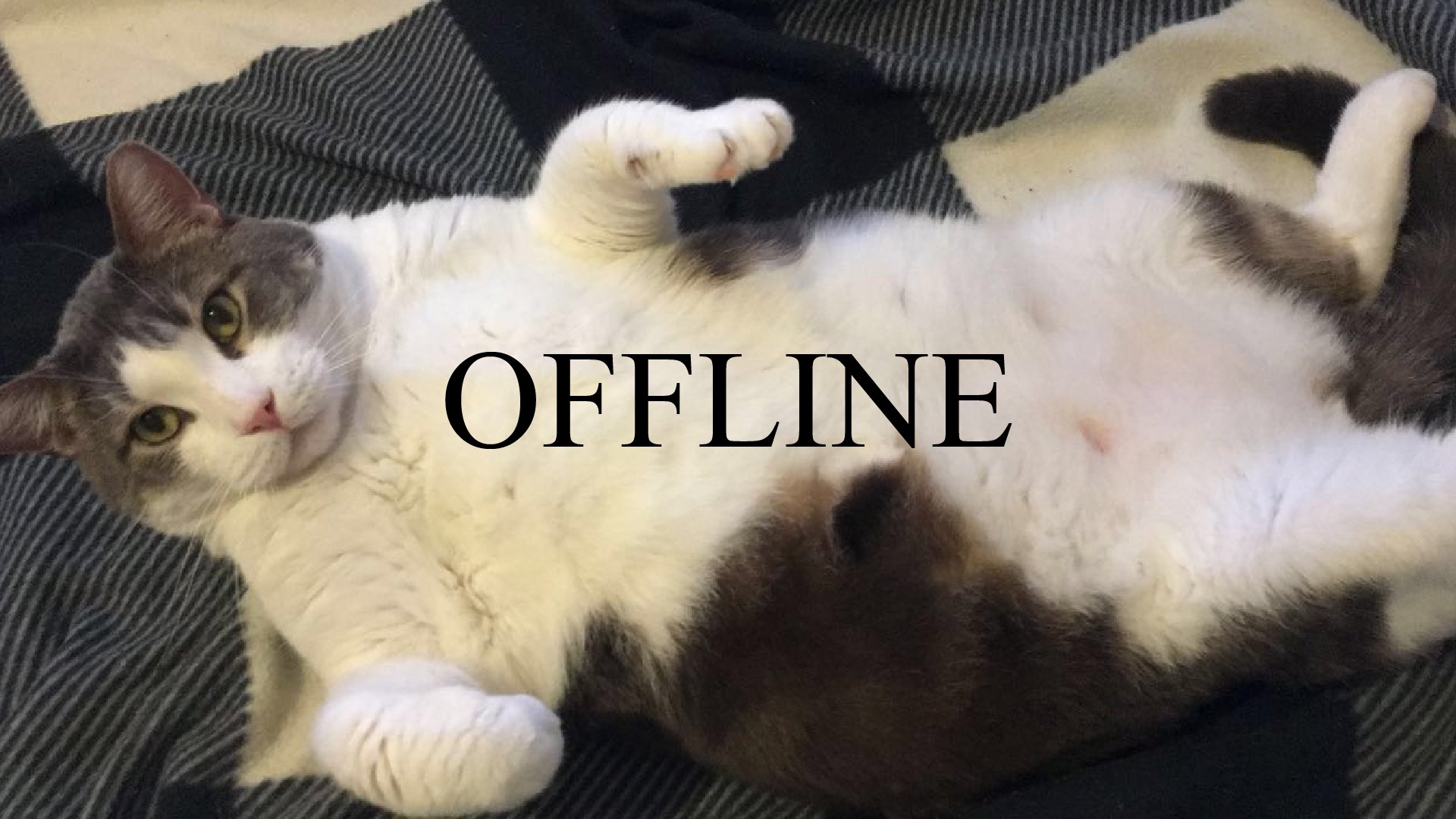 WholesomeHomies banner