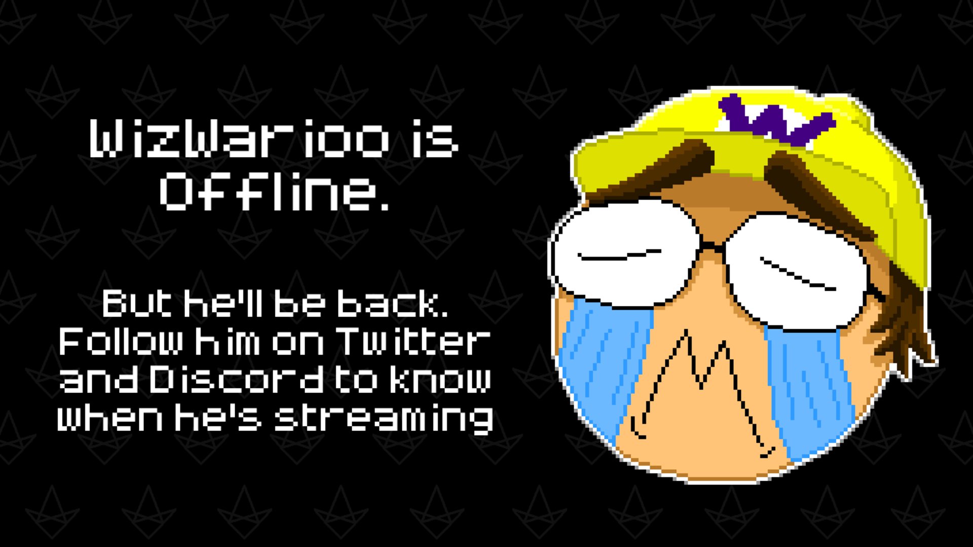 WizWarioo banner