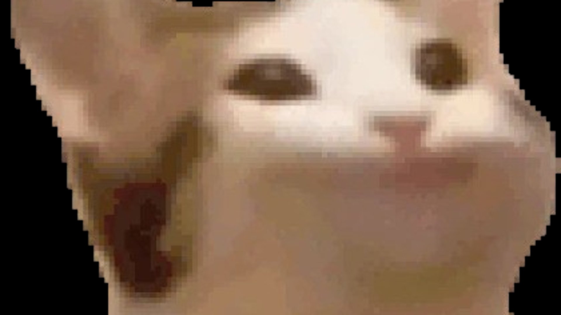 wolfnix7w7 banner