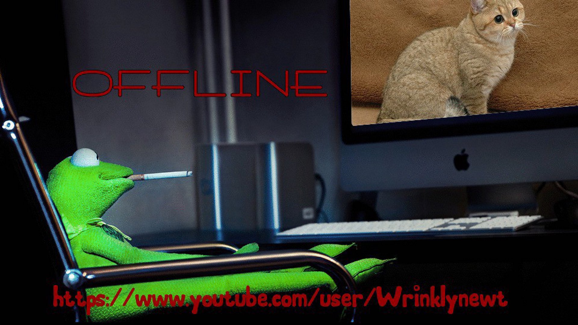 Wrinklynewt banner