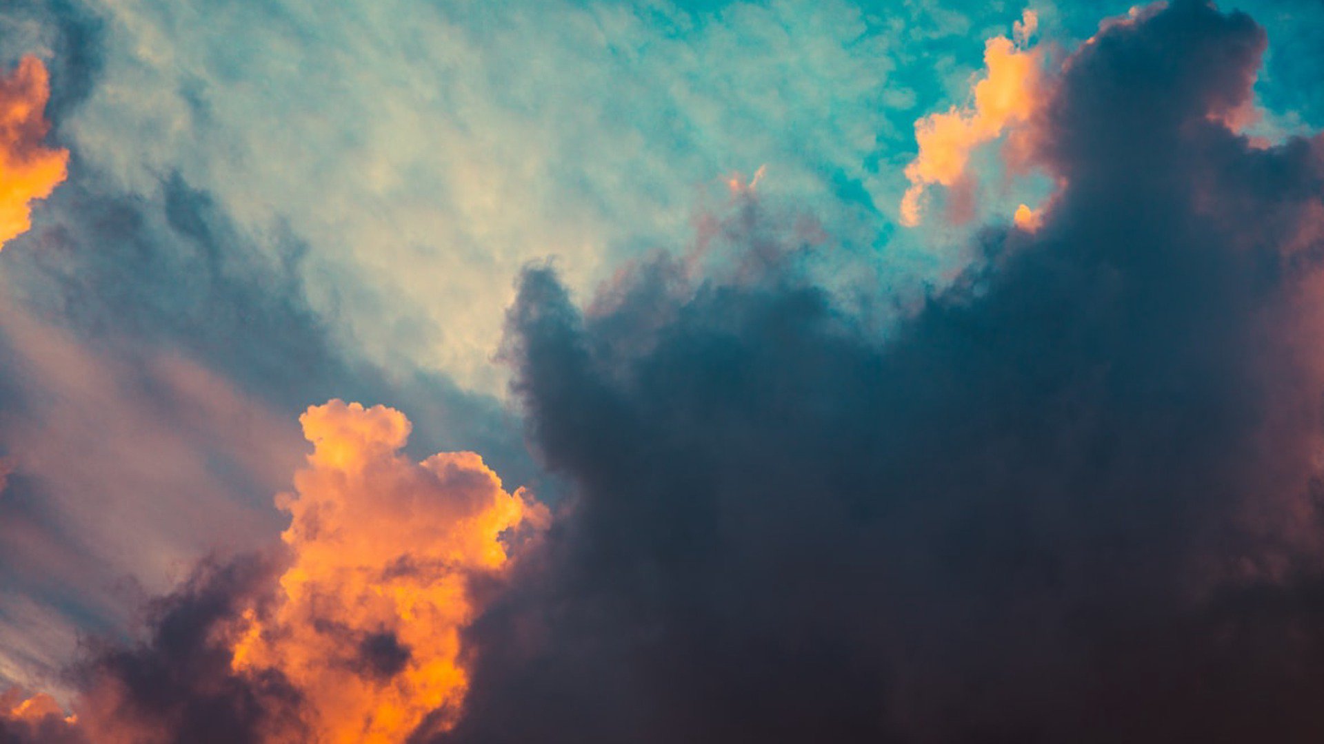 wutchi_ banner