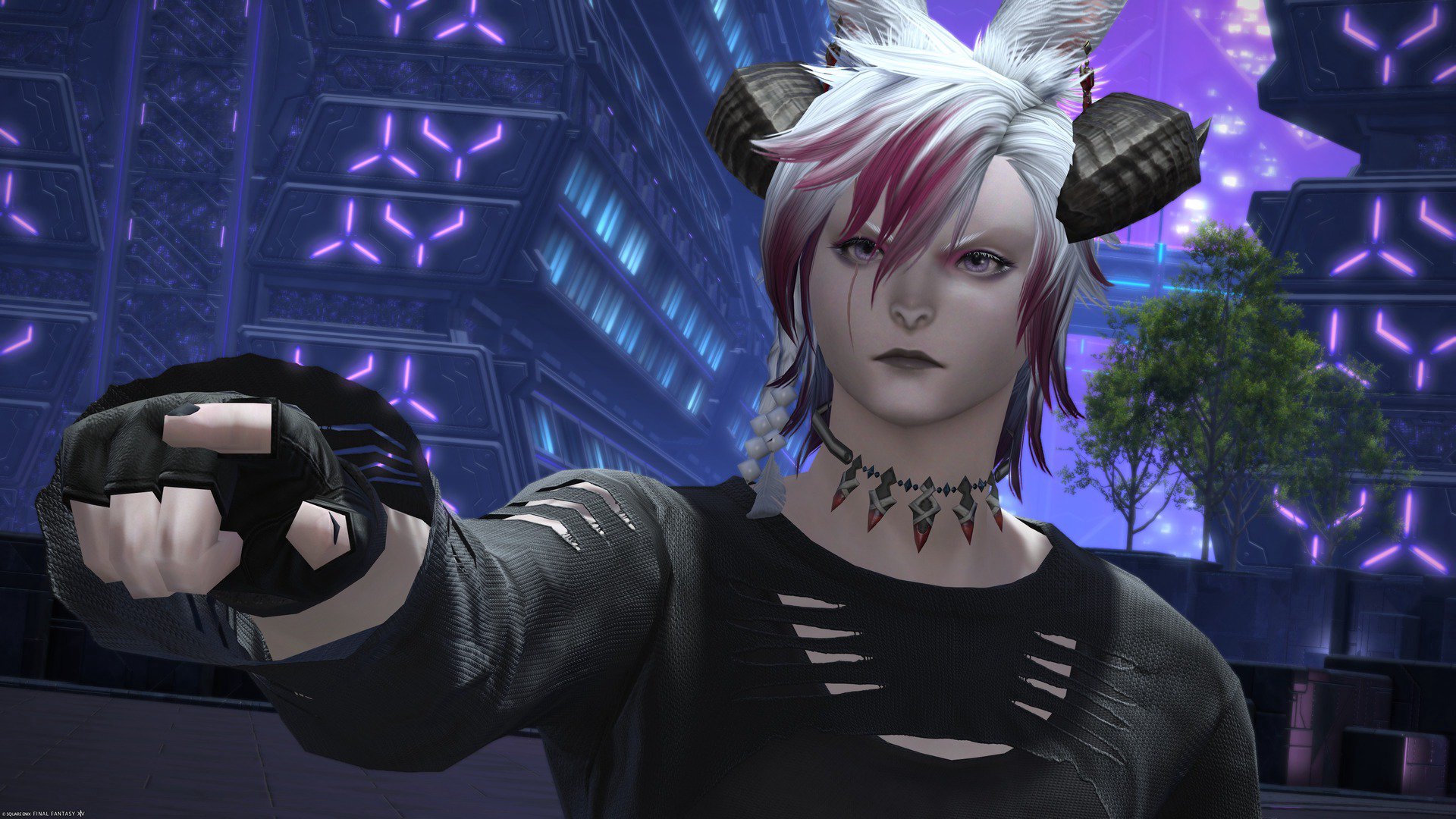 Xanvai banner