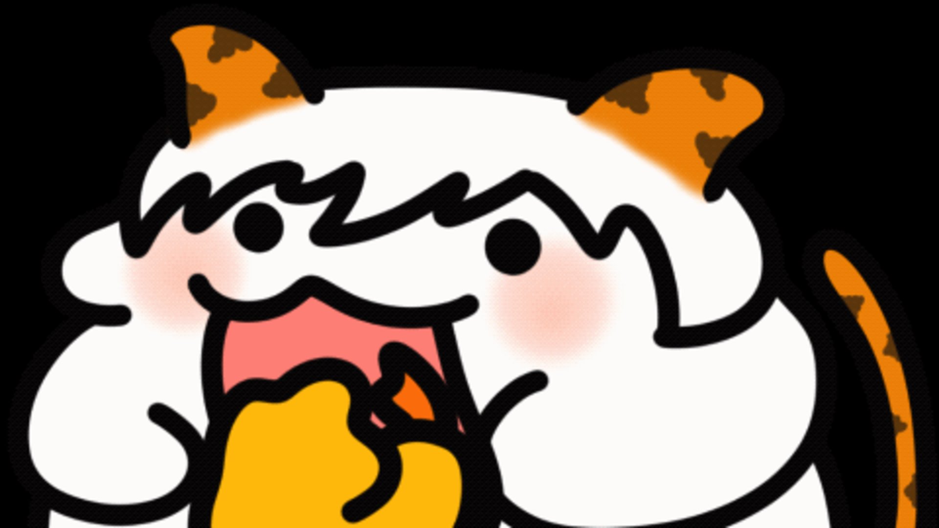 星星君 banner