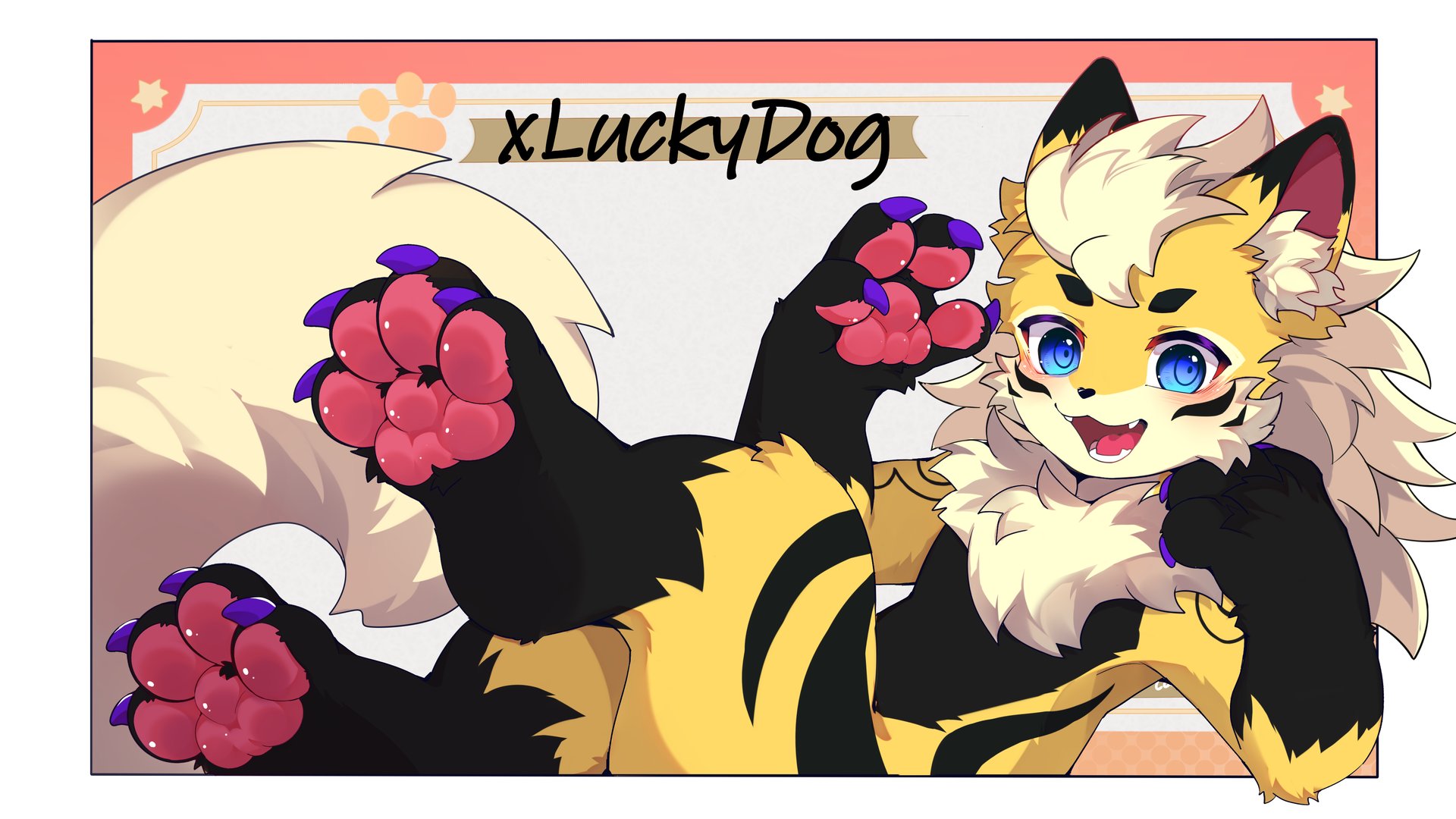 xLuckyDog banner