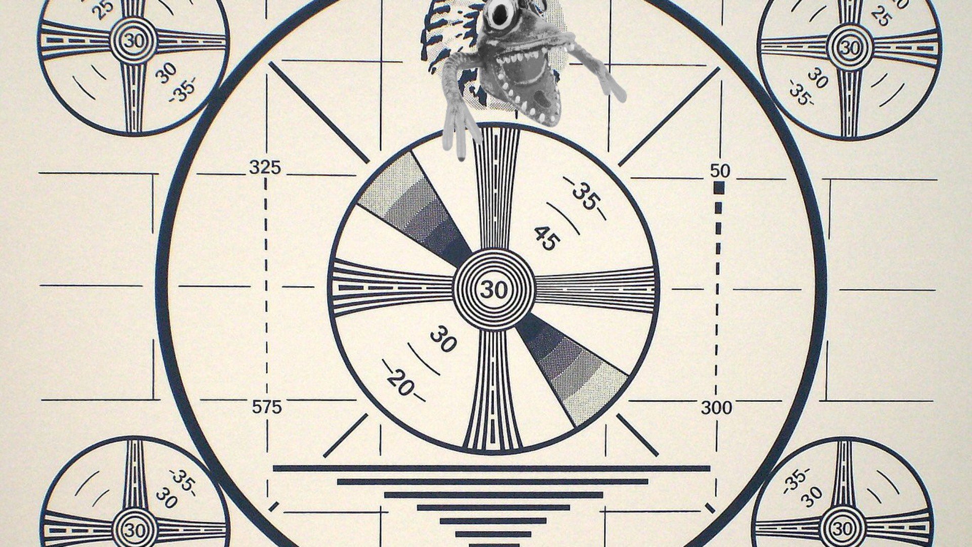 Xolta banner