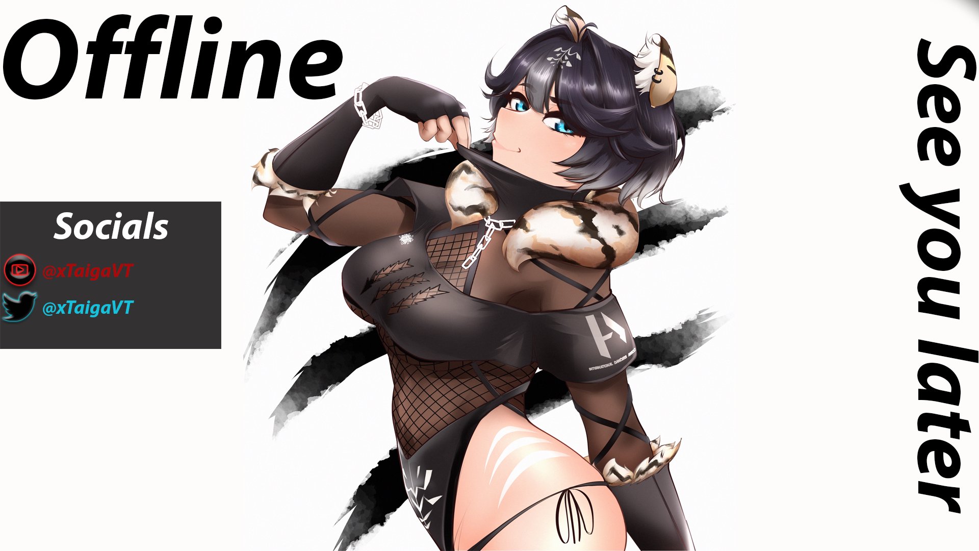 xTaigaVT banner