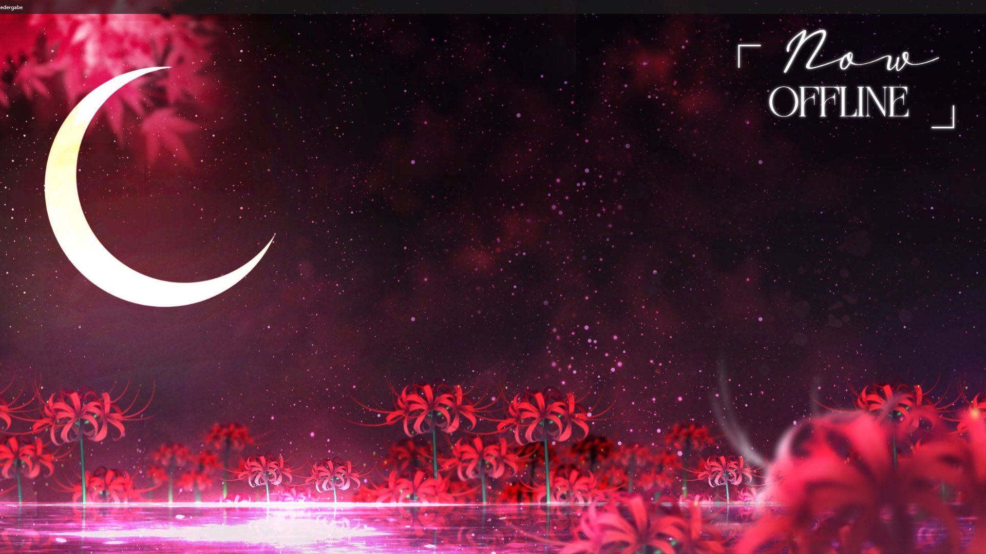 Zaphkiiiiel banner