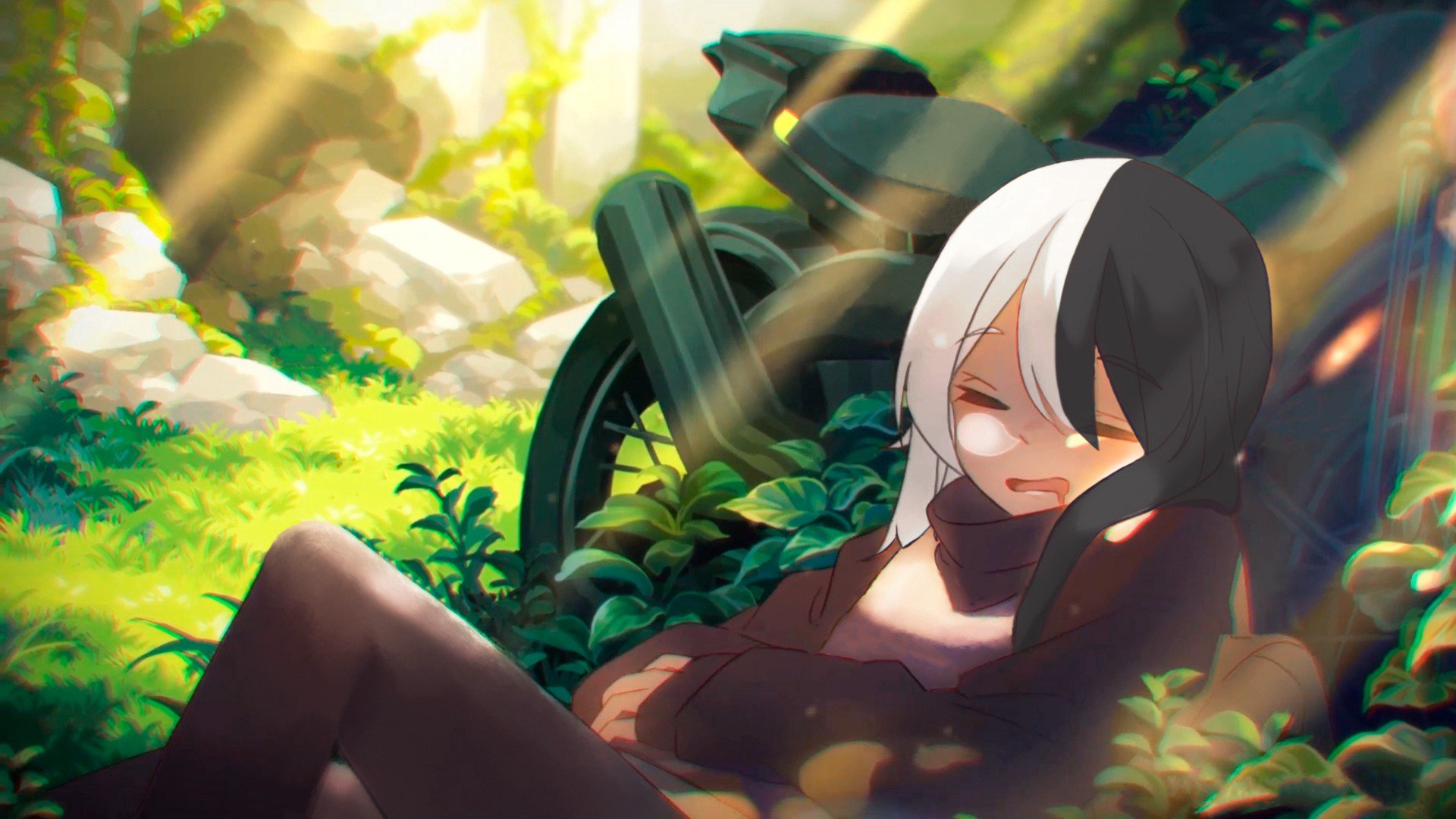 ZedKiba_ banner