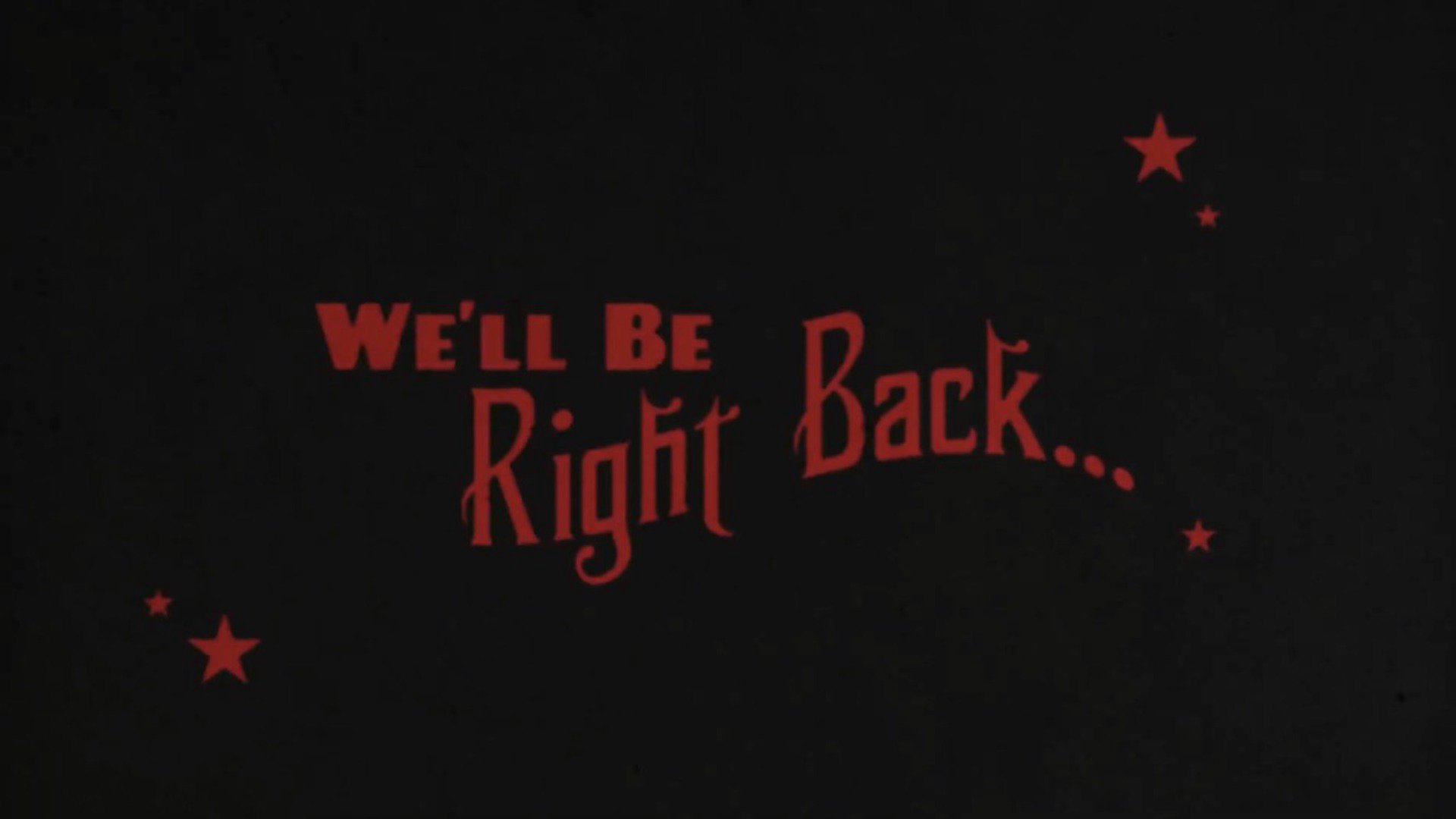 Zeppolee banner