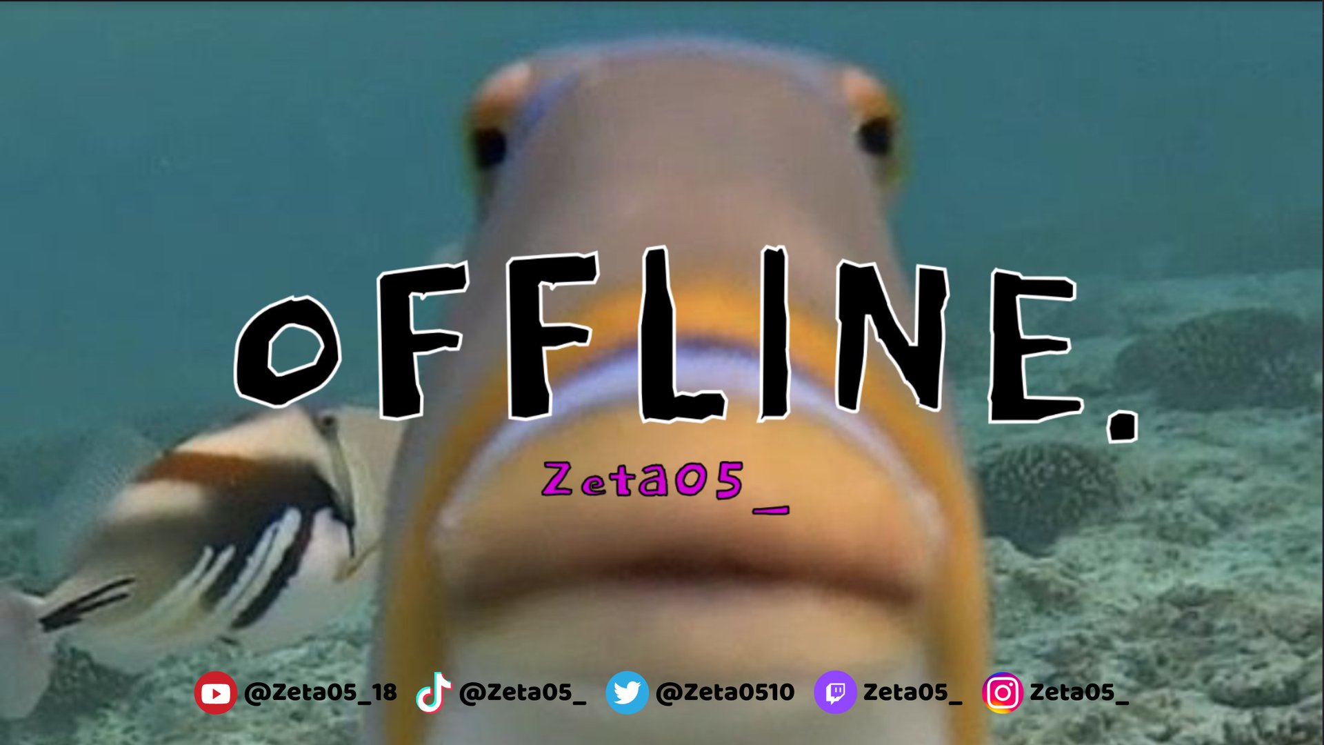 zetavtuber_ banner