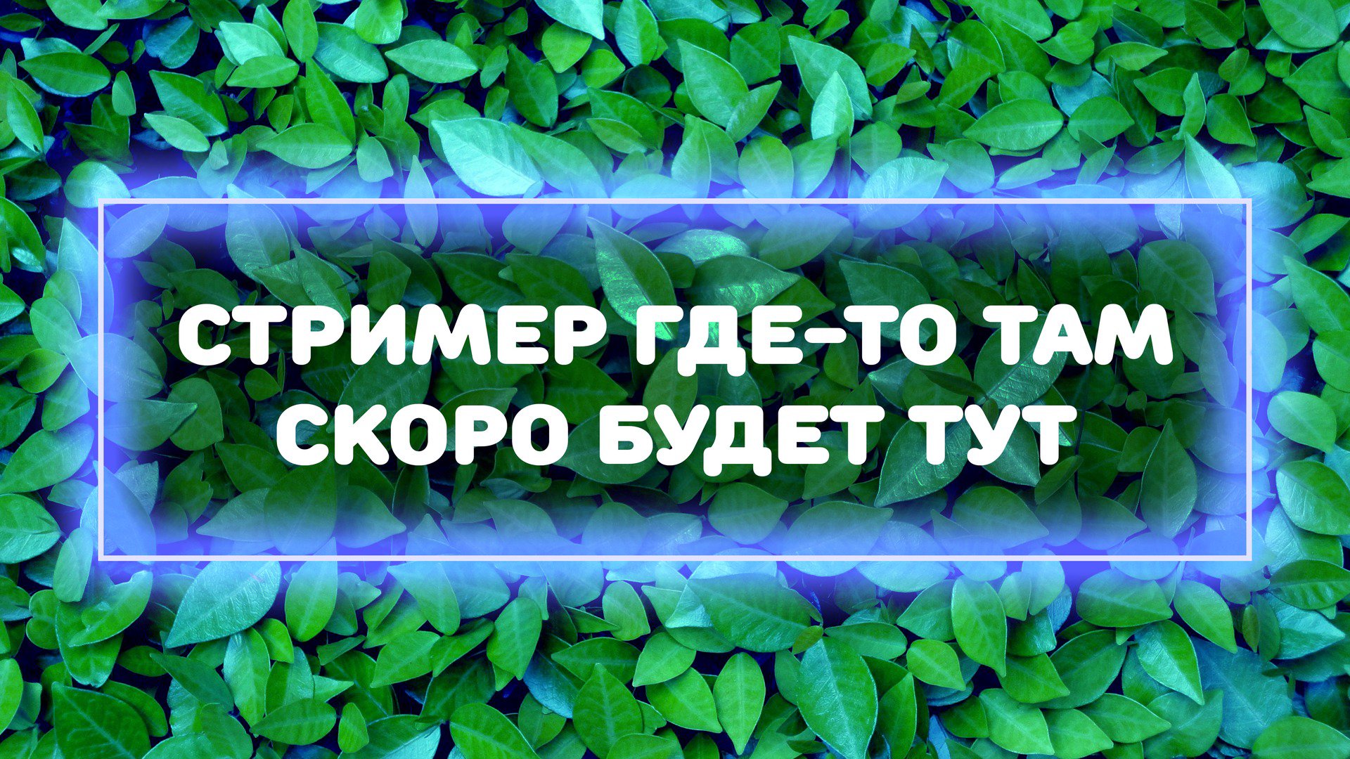zhabola banner