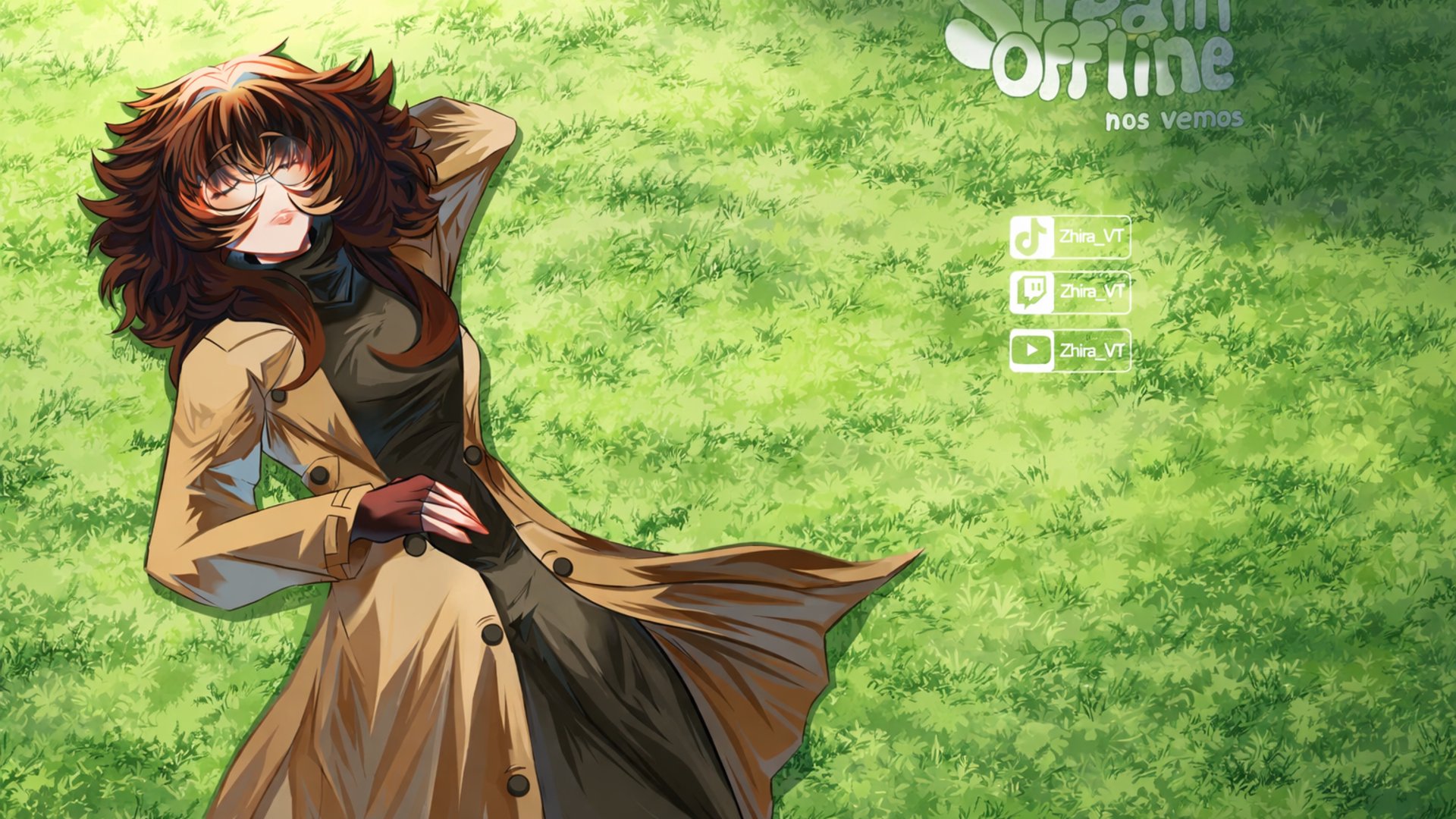 zhira_vt banner