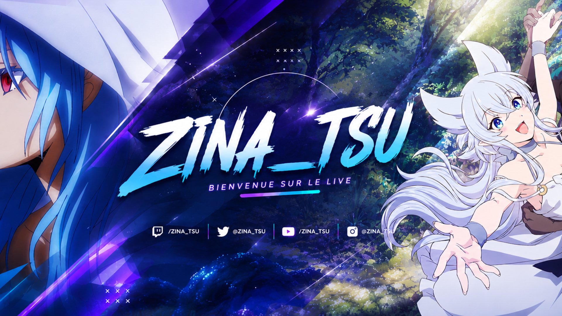 zina_tsu banner