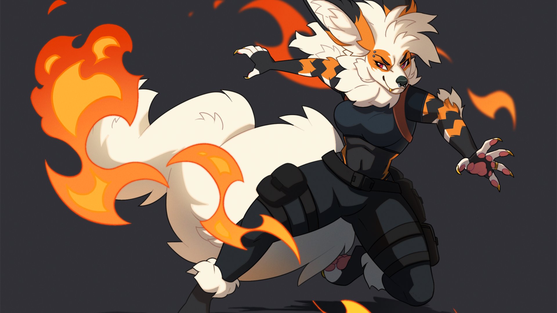 Ziphers banner