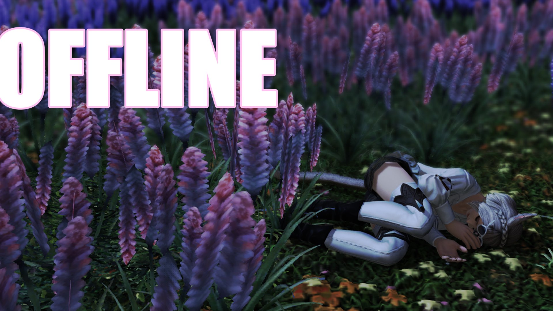 zofieloafie banner