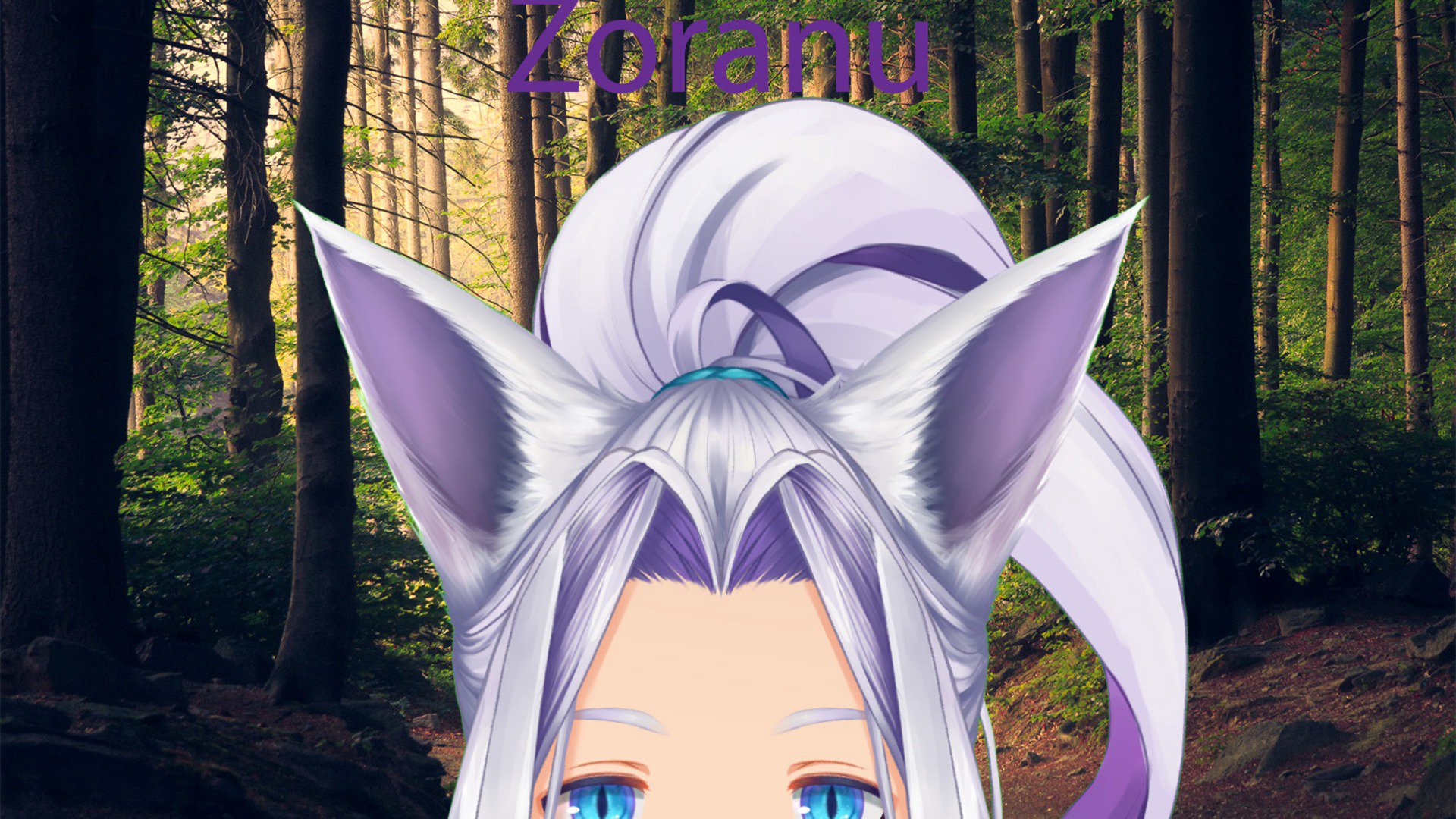 zoranu banner