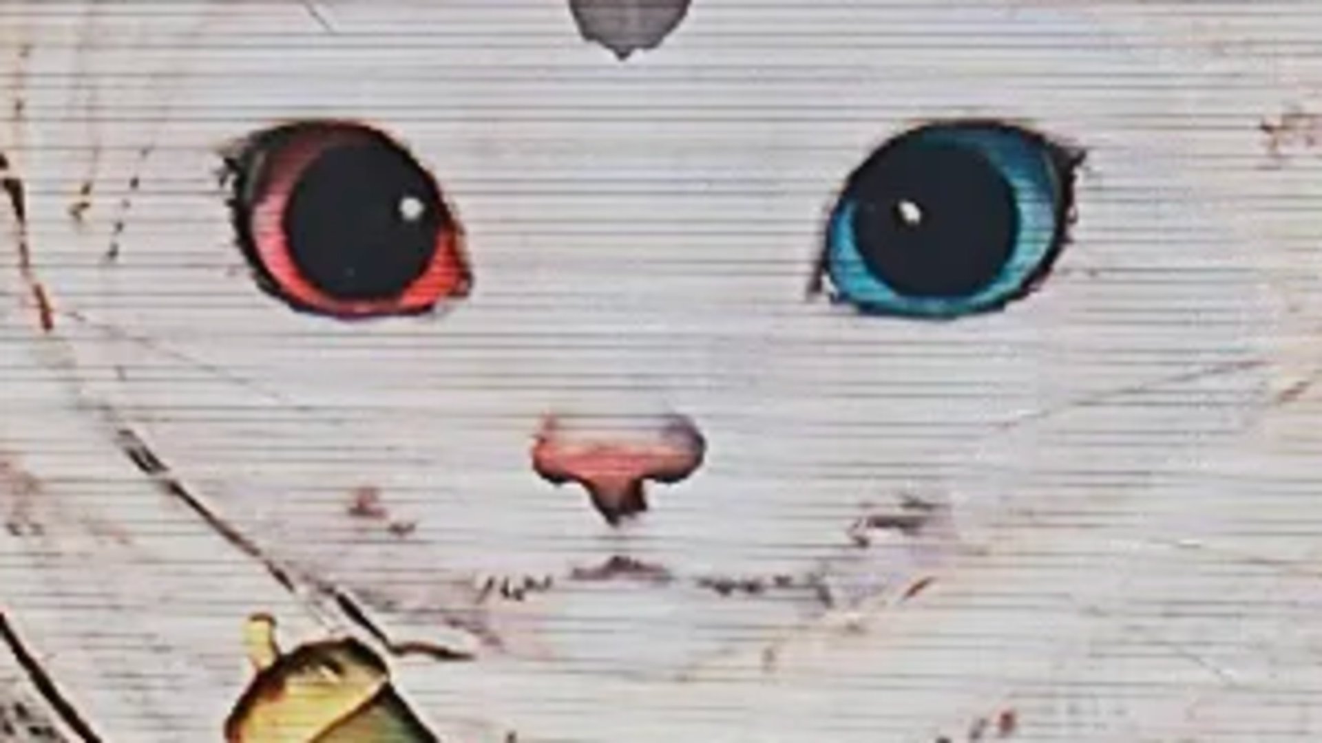 ZorrinKozaki banner