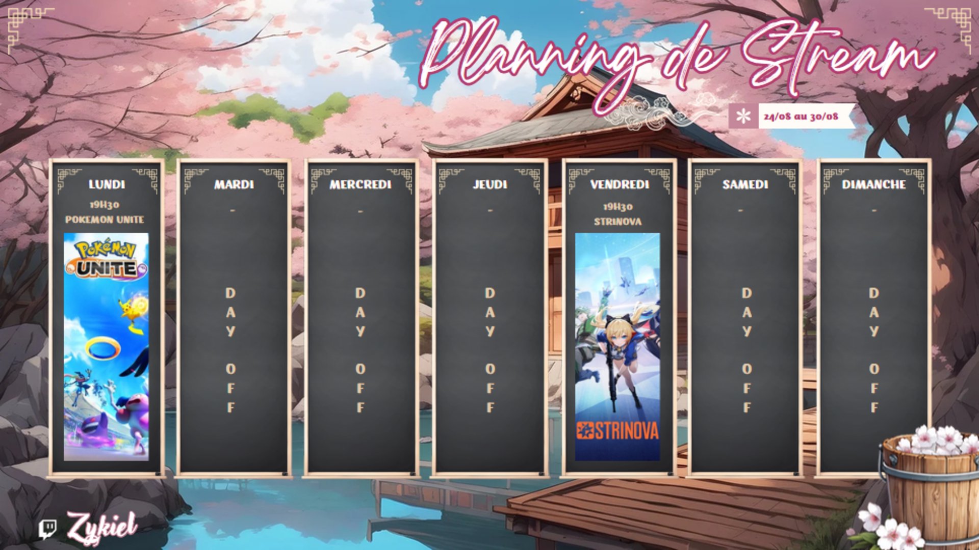 Zykiel banner
