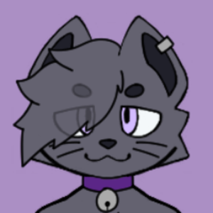 404ShiroNotFound