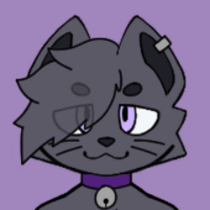 404ShiroNotFound