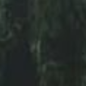 4ever_lurking