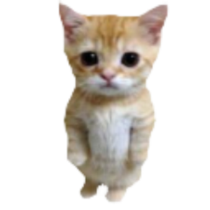6kas