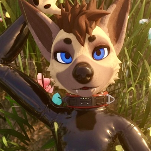 AardwolfEssex